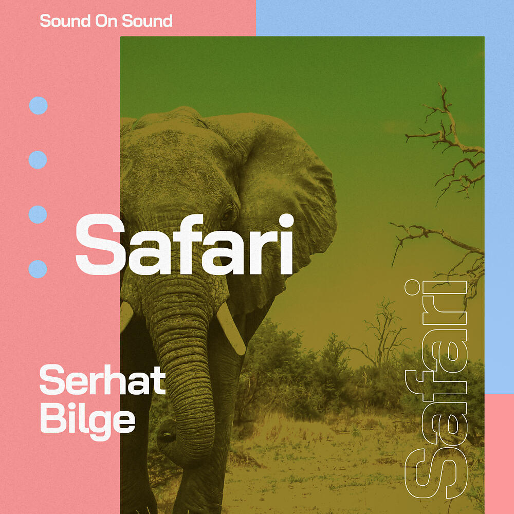 Serhat Bilge - The Stampede (Original Mix)