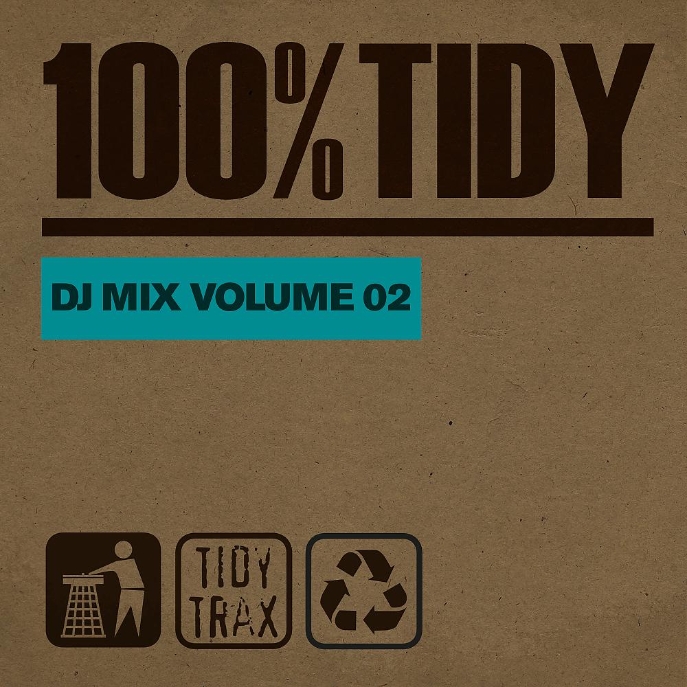 Постер альбома 100% Tidy, Vol. 2