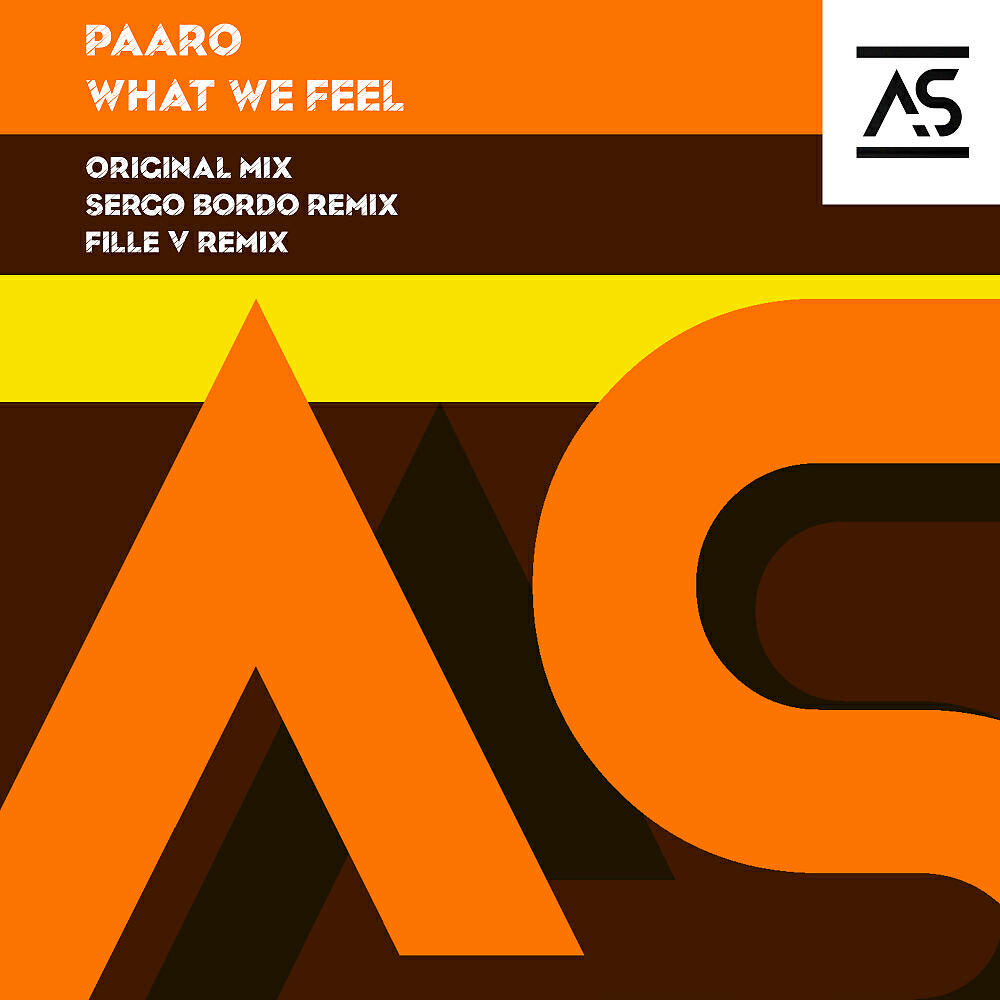 Paaro - What We Feel (Fille V Remix)