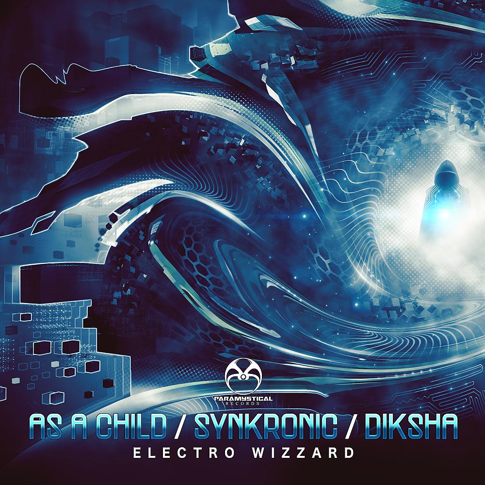 Постер альбома Electro Wizzard