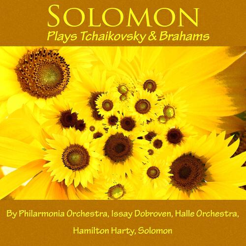 Philharmonia Orchestra - Concerto for Piano & Orchestra No. 2, in B-Flat Op. 83: III. Andante