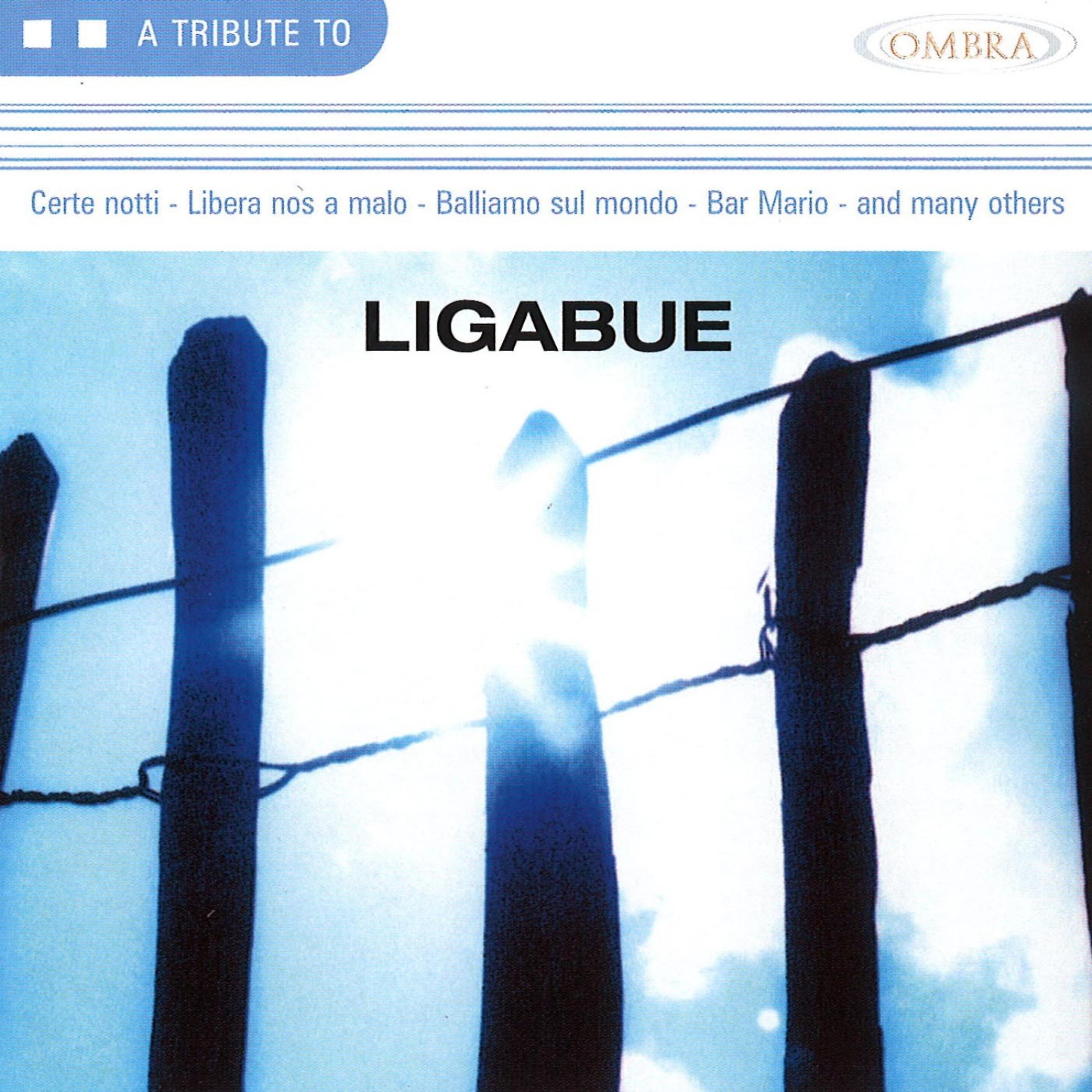 Постер альбома A Tribute To Ligabue