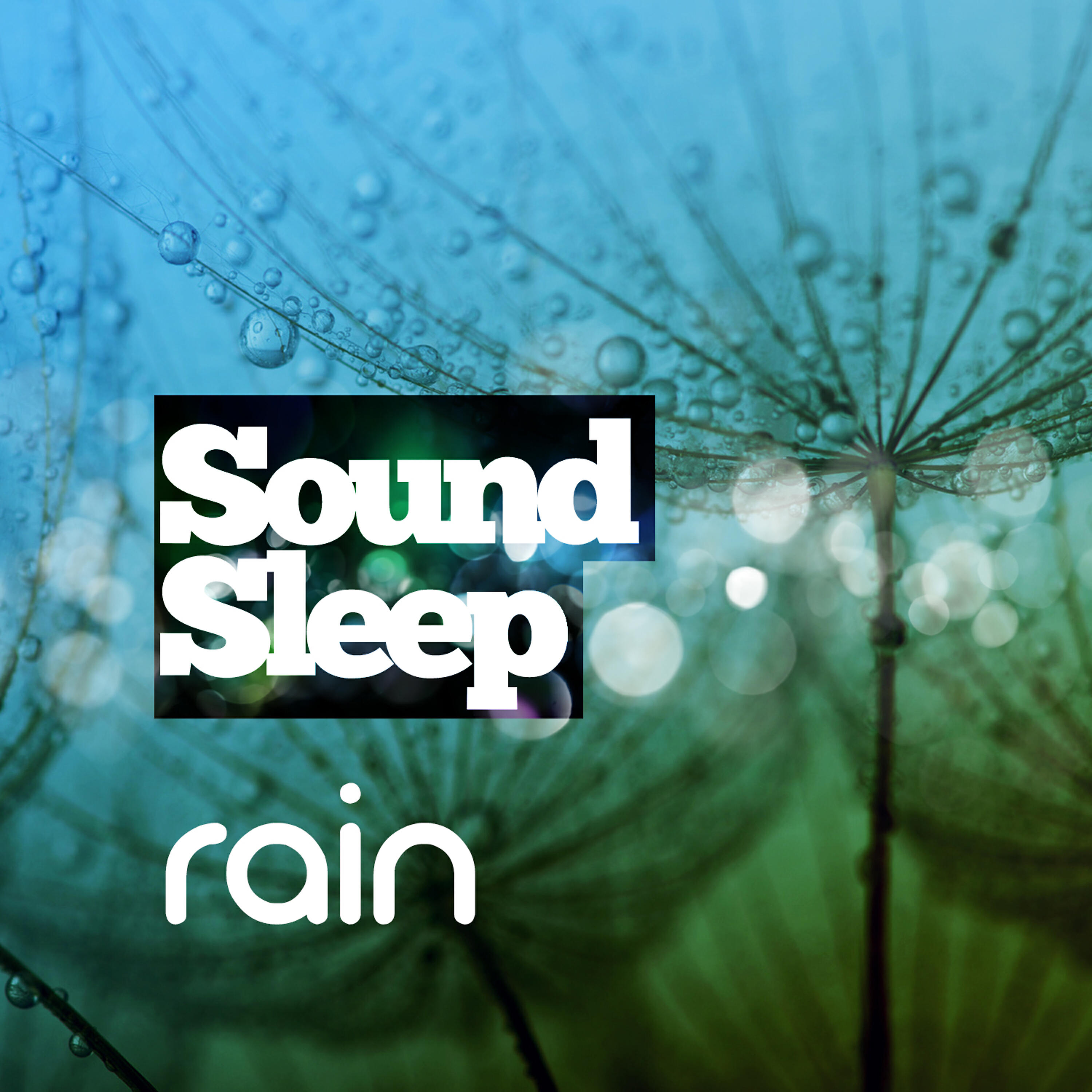 Outside Broadcast Recordings - Greenhouse Rain