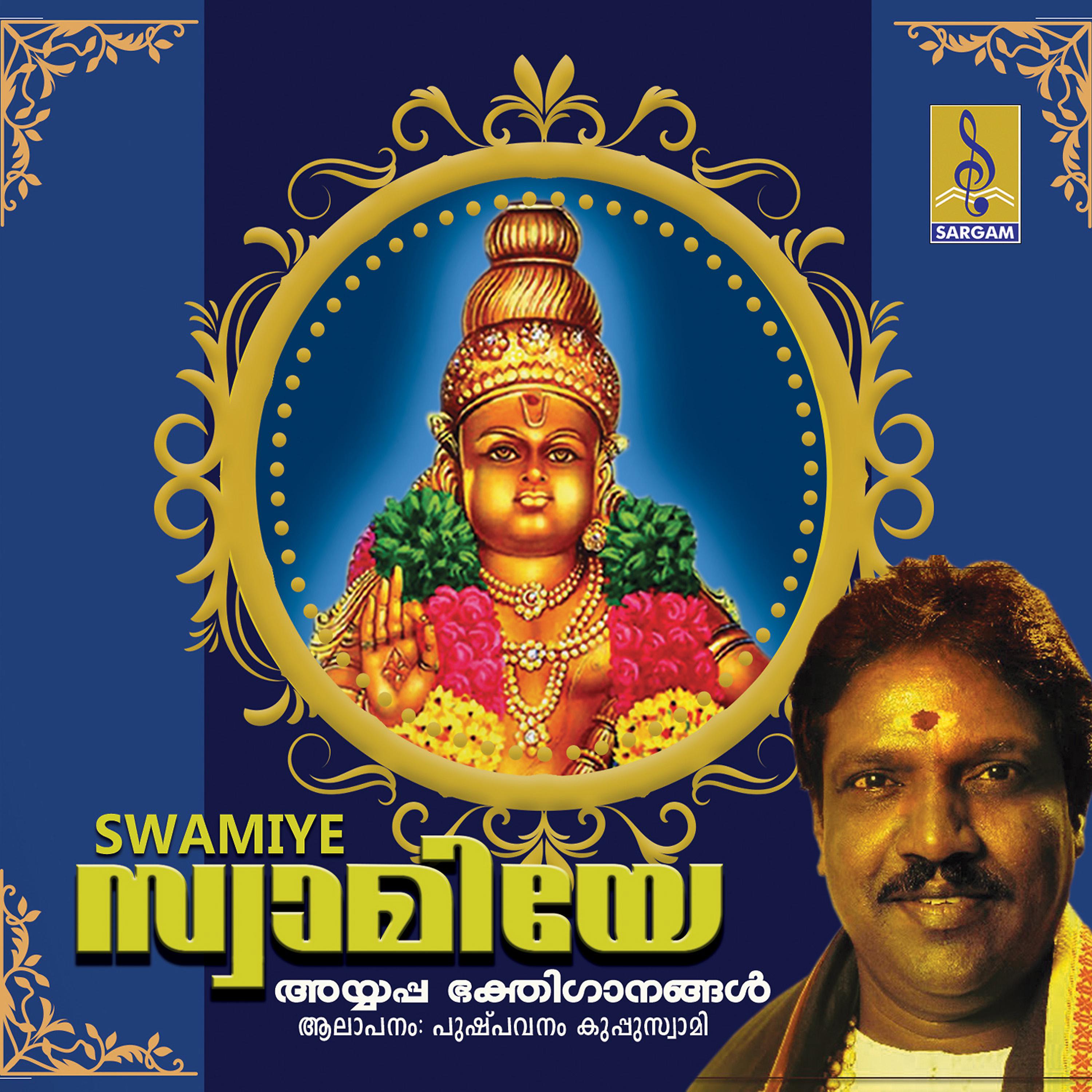 Постер альбома Swamiye
