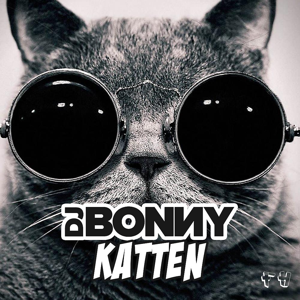 Постер альбома Katten