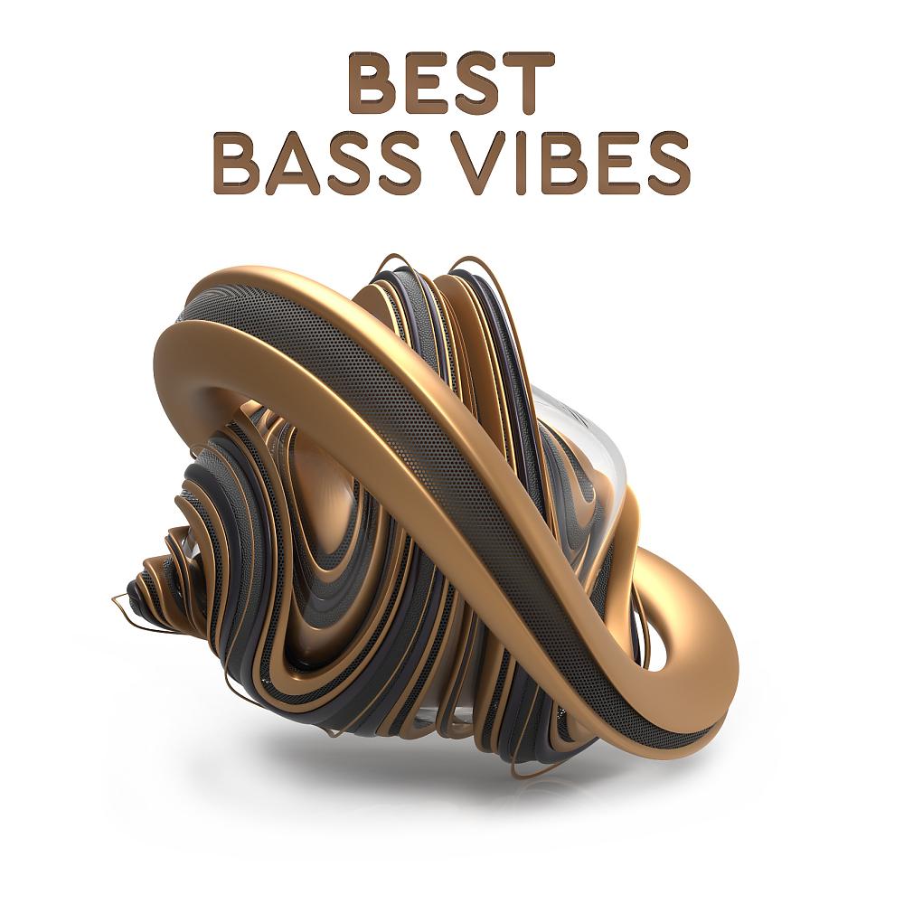 Постер альбома Best Bass Vibes