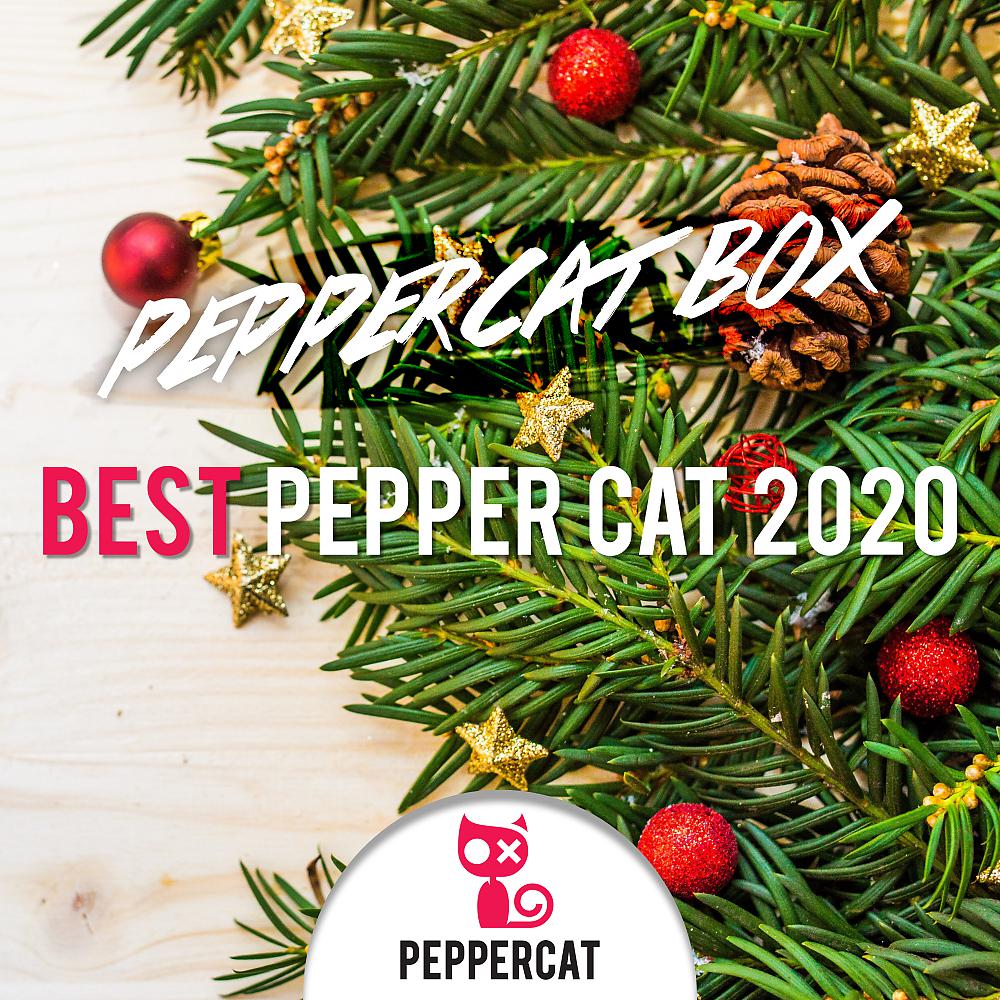 Постер альбома Best Pepper Cat 2020
