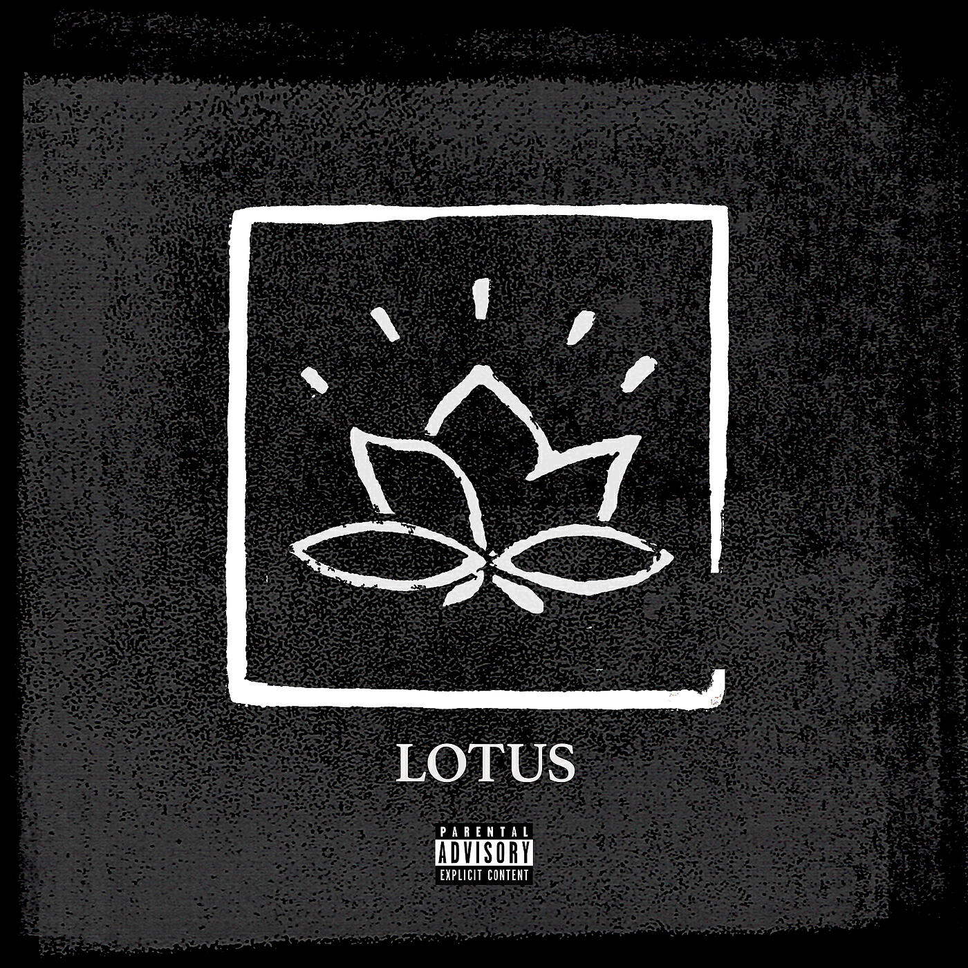 LUUK - Lotus