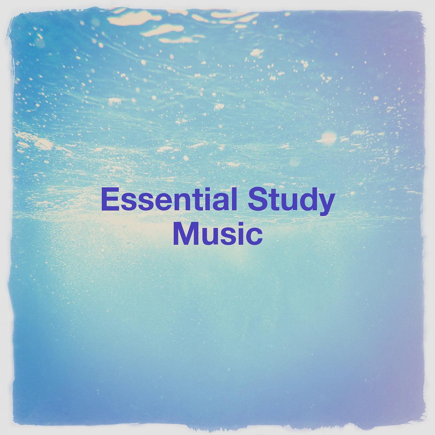 Постер альбома Essential Study Music