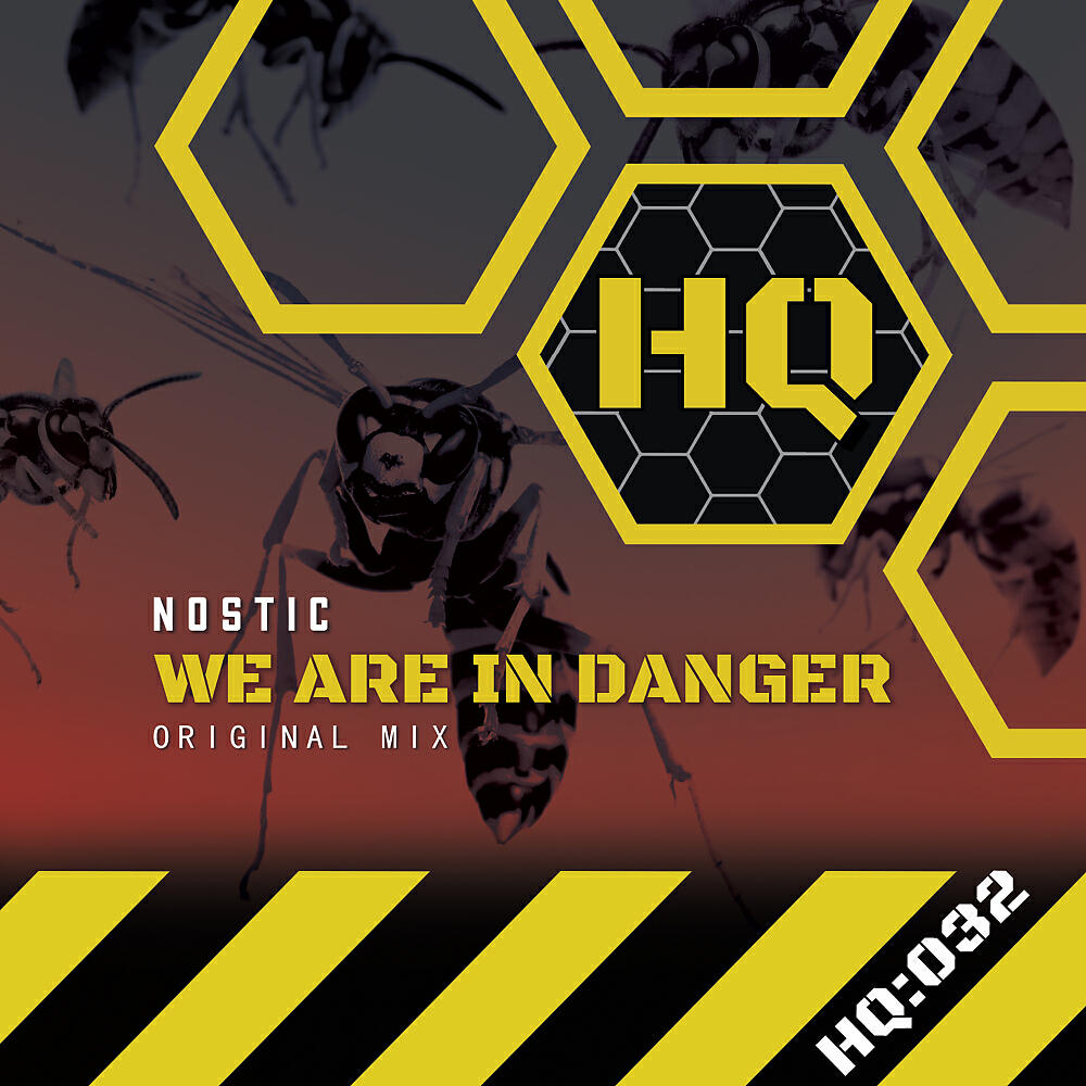 Nostic - We are in Danger (Original Mix)