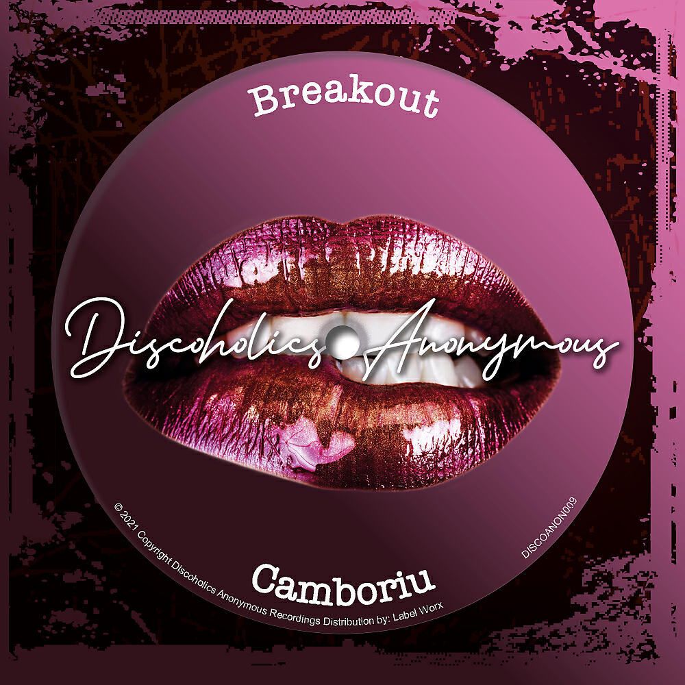 Breakout - Camboriu (Dim Zach Remix)