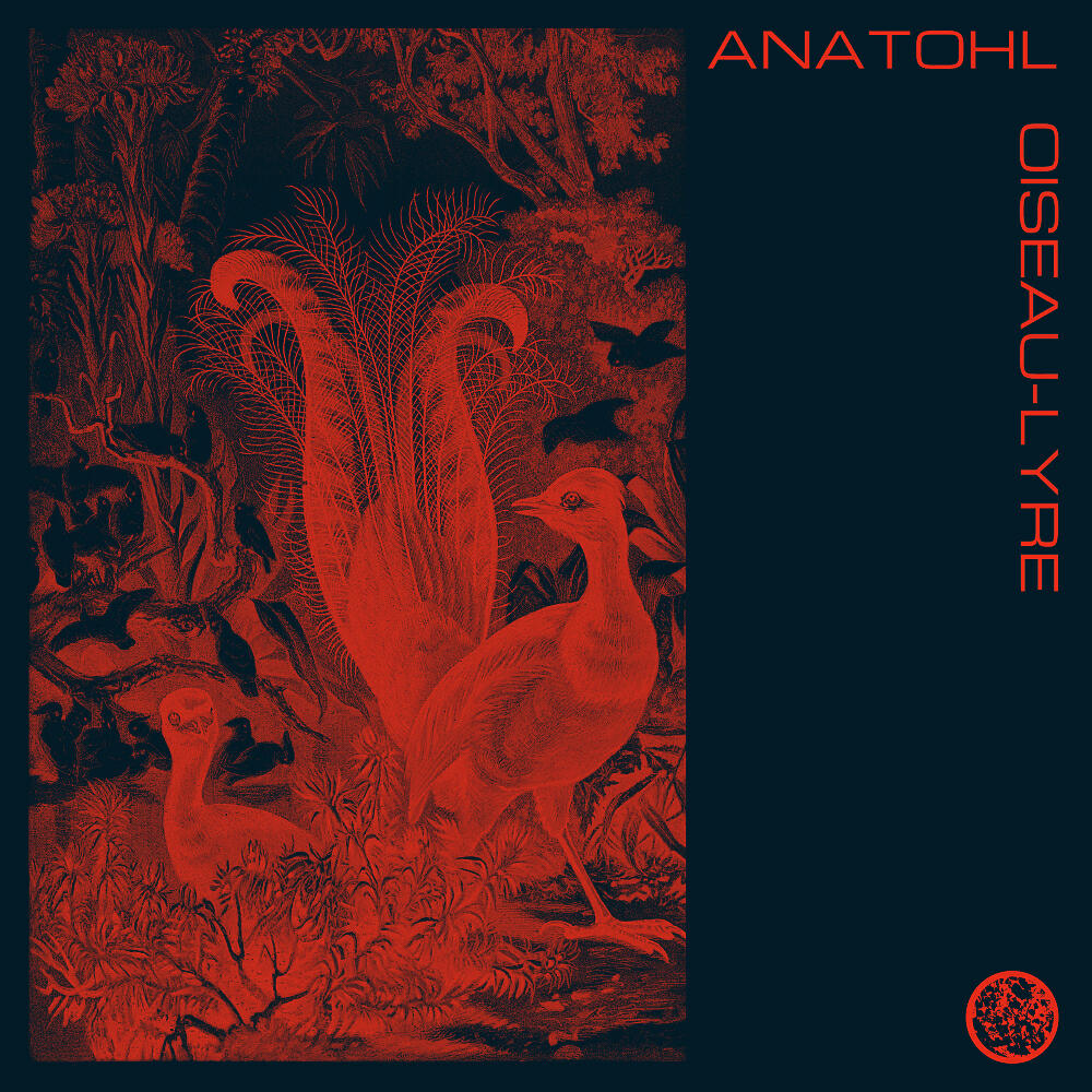 Anatohl - Umwelt (Original Mix)