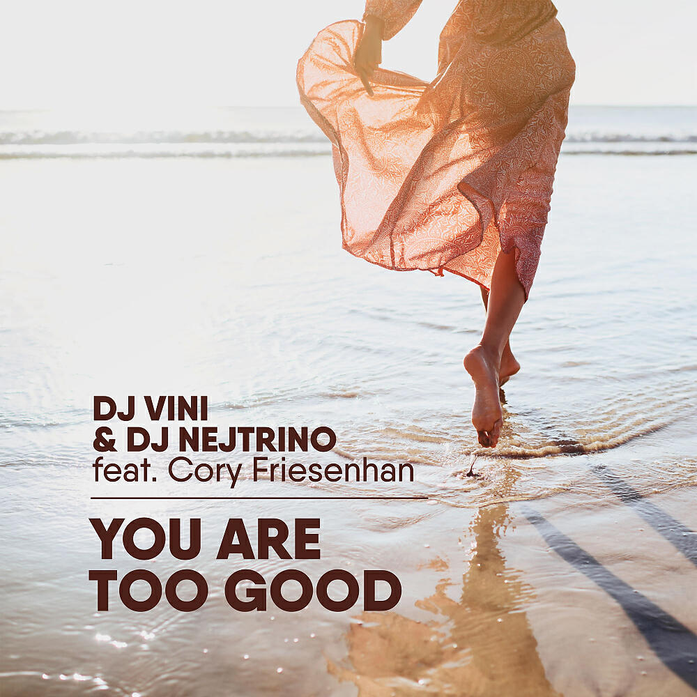 DJ Vini - You Are Too Good (Original Mix)