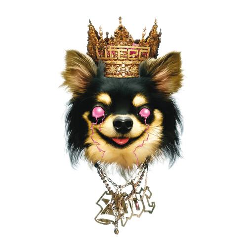 Spor - Kingdom