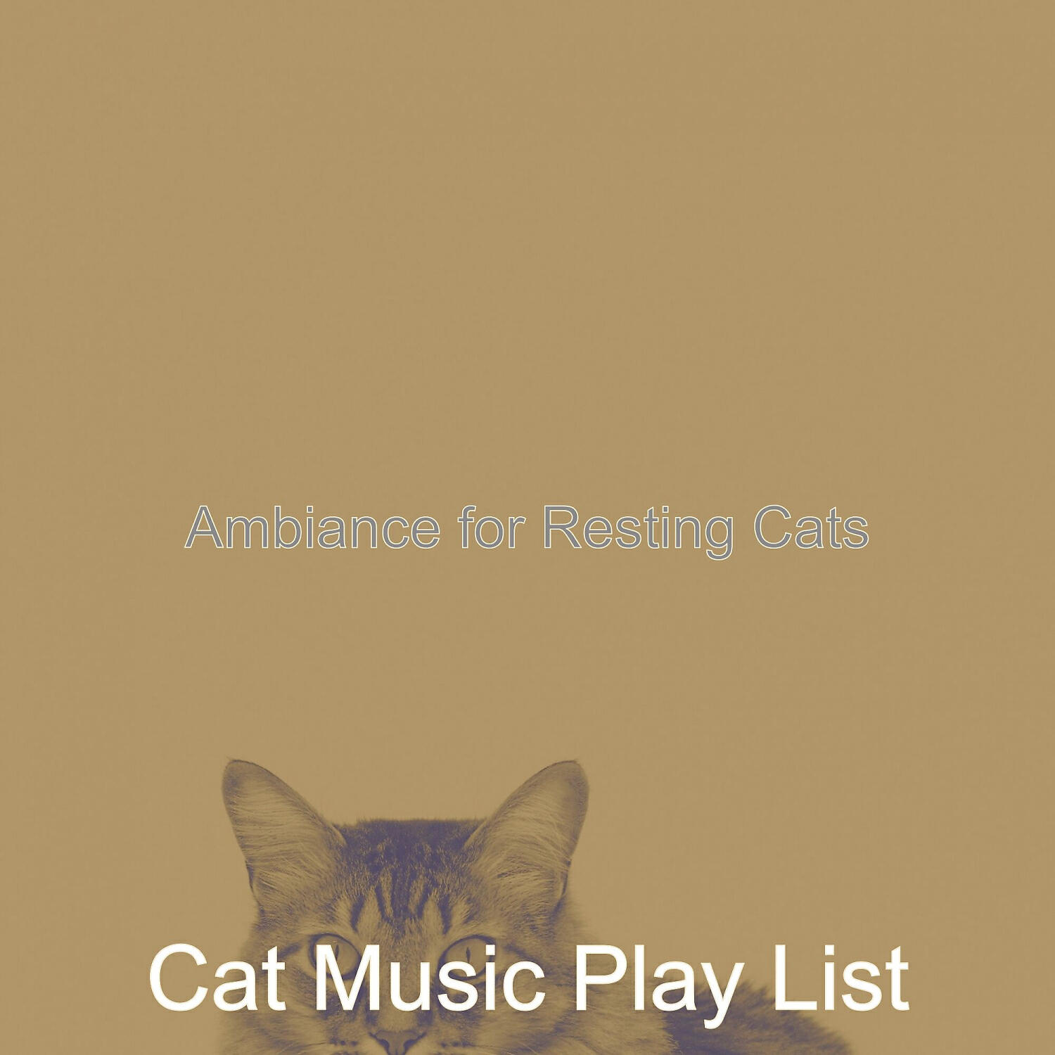 Cat Music Play List - Sublime Solo Piano Jazz - Vibe for Cute Cats