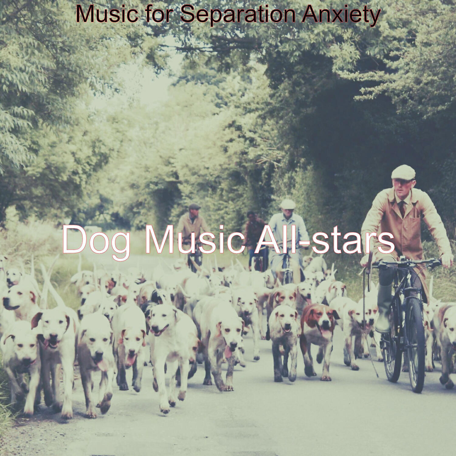 Dog Music All-stars - Incredible Music for Reducing Dog Stress