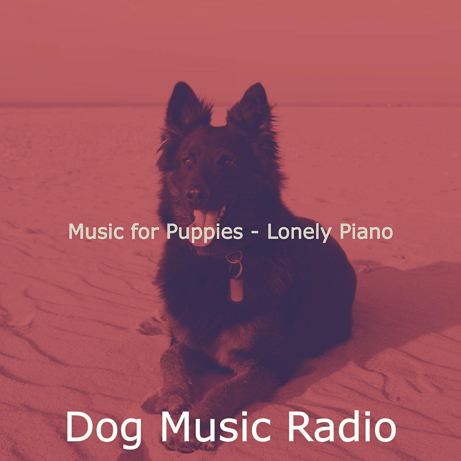 Dog Music Radio - Deluxe Solo Piano Jazz - Vibe for Cute Dogs