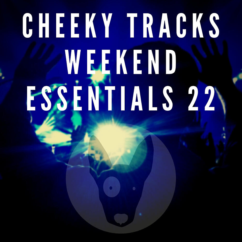 Micky Modelle - You're A Superstar (Groove Control & General Bounce 'Tribute To Rez Q' Remix)