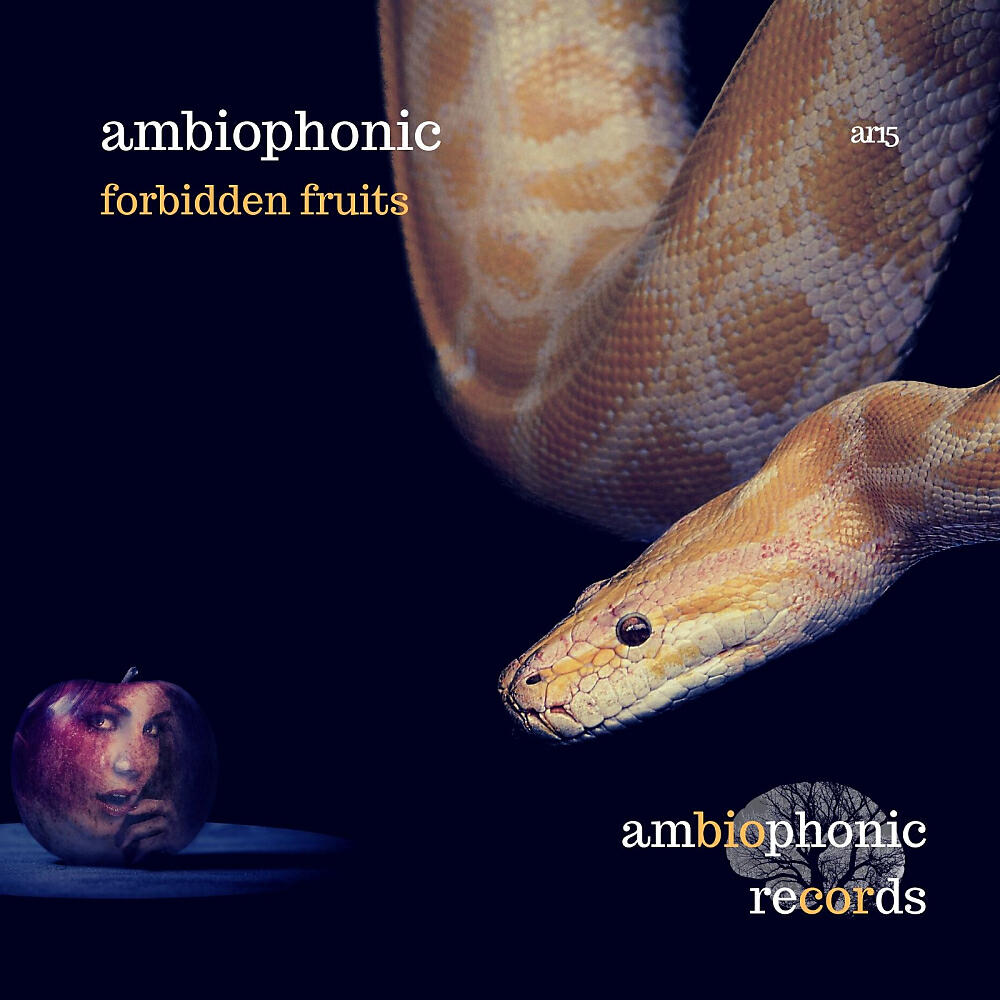 Ambiophonic - Space Frogs (Original Mix)