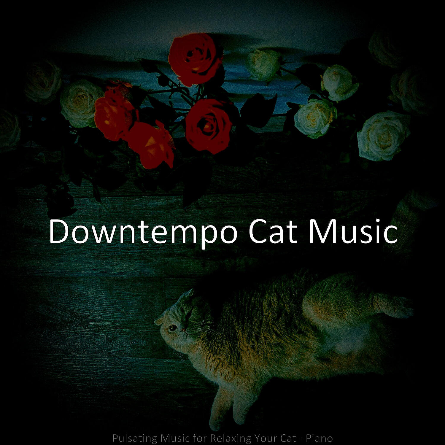 Downtempo Cat Music - Glorious Ambience for Cute Cats