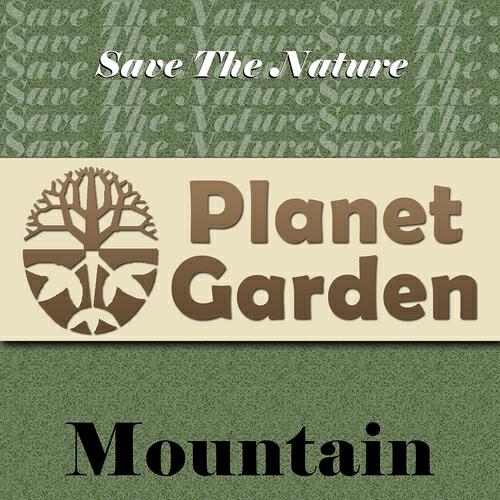 Mountain Solitude - Mountain Solitude