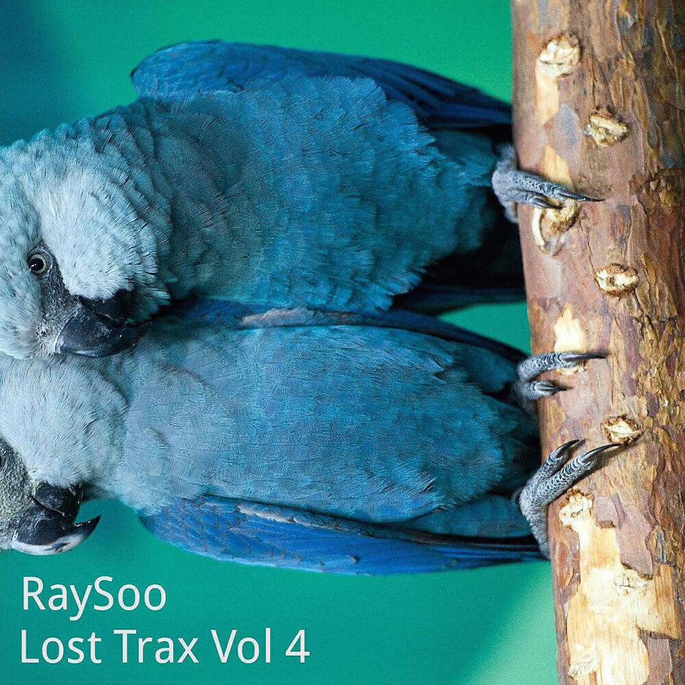 RaySoo - Perhentian Blues (Original Mix)