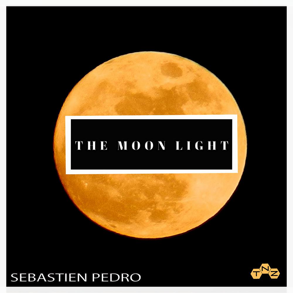 Постер альбома The Moon Light