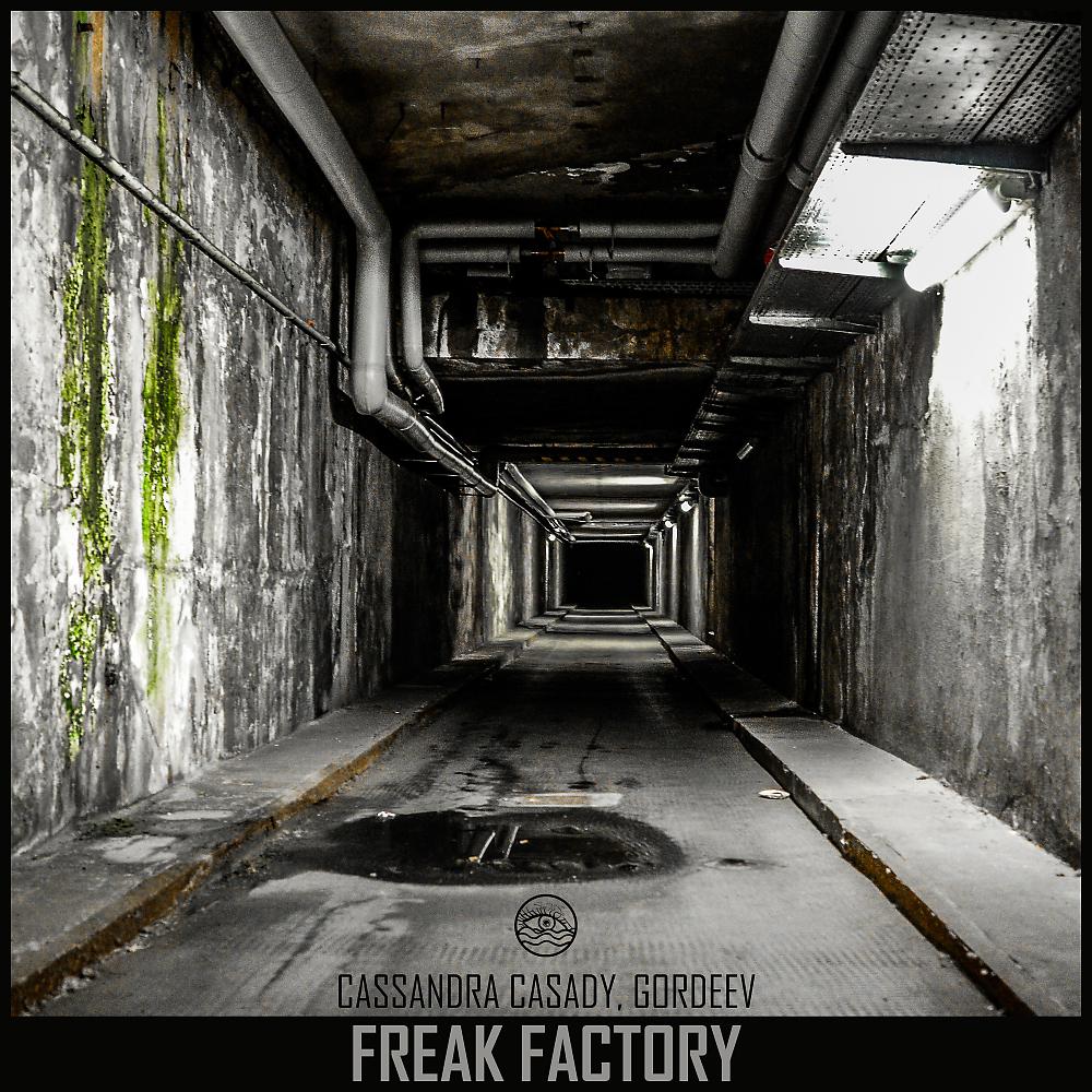 Постер альбома Freak Factory
