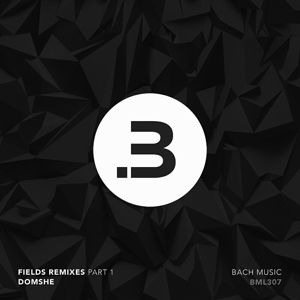 Domshe - Fields (Serhat Bilge Remix)