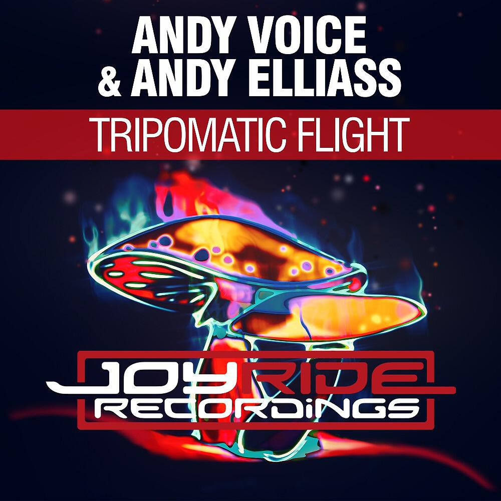 Andy Voice - Tripomatic Flight (Extended Mix)