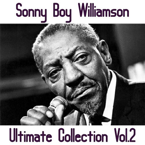 Sonny Boy Williamson - Nine Below Zero