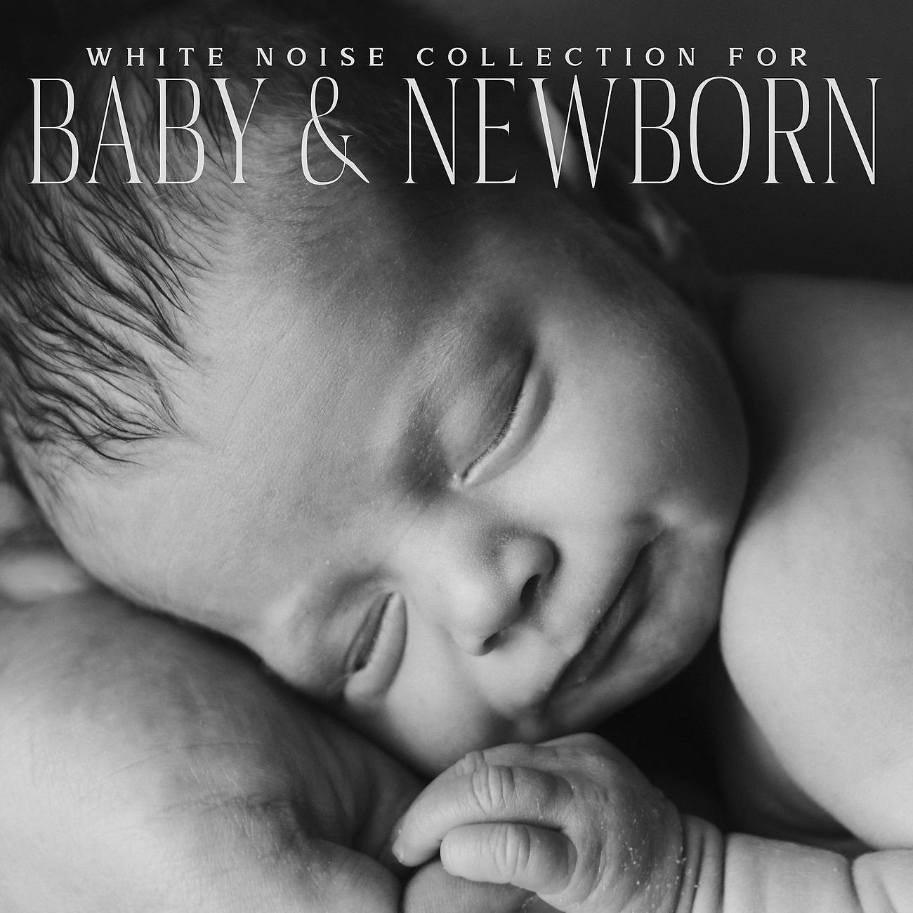 Постер альбома White Noise Collection for Baby & Newborn
