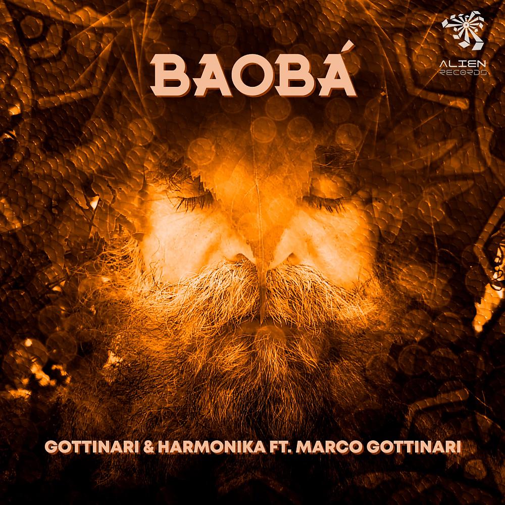 Постер альбома Baobá
