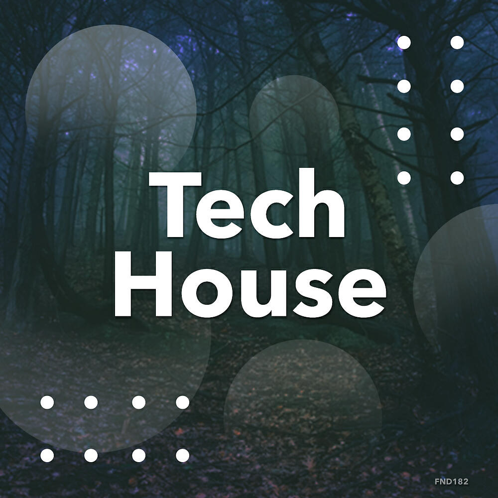 Tech House - Stormtrooper (Version 2 Mix)