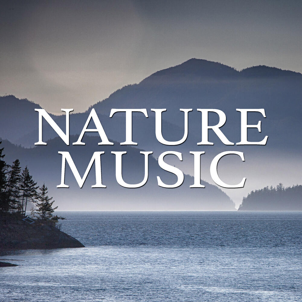 Nature Sounds Nature Music - Rain Shower (Original Mix)