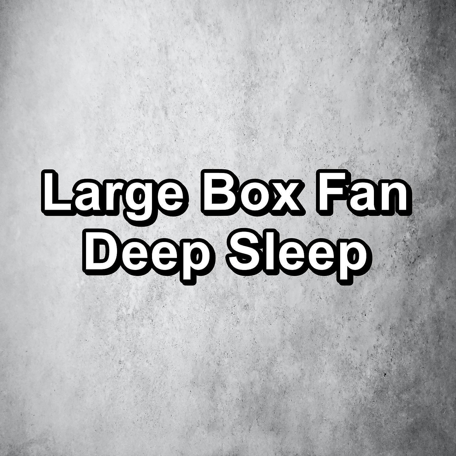 Постер альбома Large Box Fan Deep Sleep