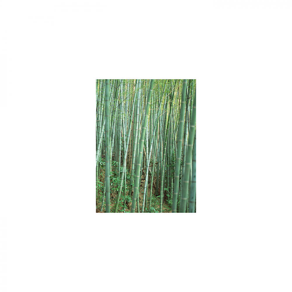 Mindfulness Healing BGM Project - Memory & Sleep (Original Mix)