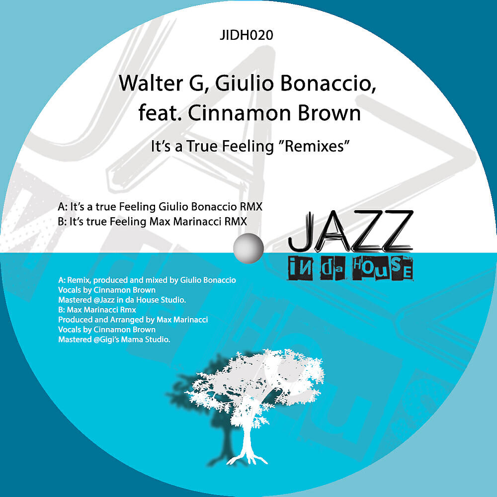 Walter G - It's a True Feeling (Giulio Bonaccio RMX)