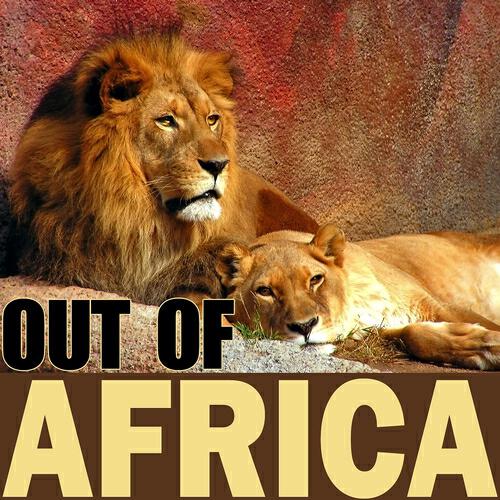 Magi Shamba - Safari (The spirit of africa)