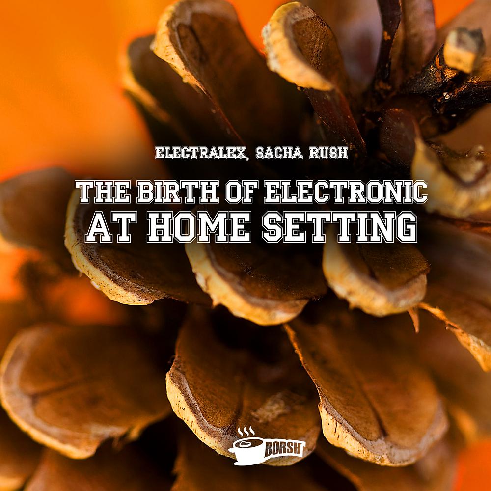 Постер альбома The Birth Of Electronic At Home Setting