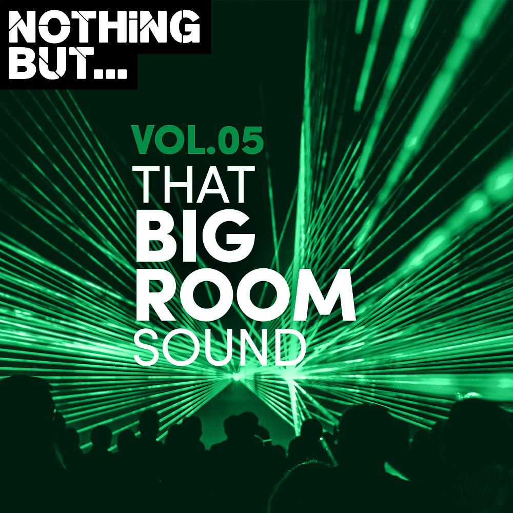 Постер альбома Nothing But... That Big Room Sound, Vol. 05