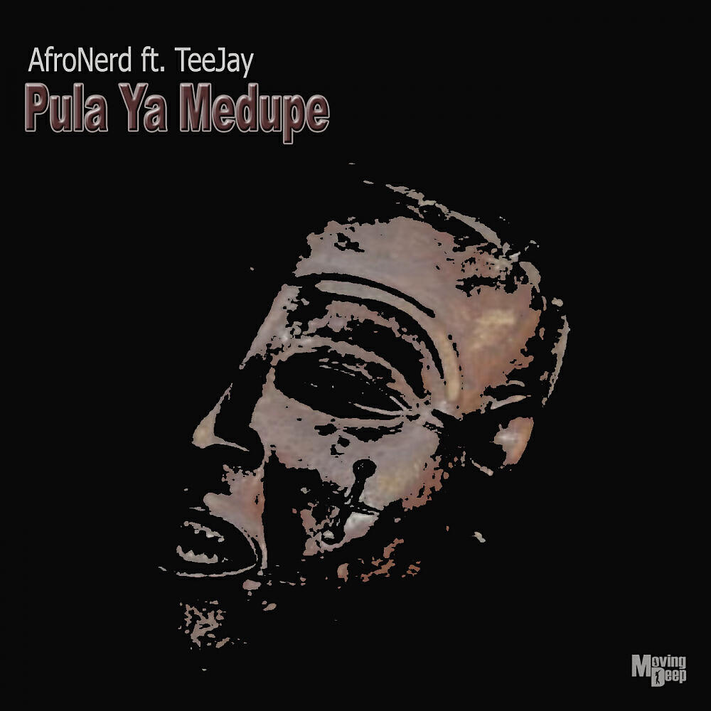 AfroNerd - Pula Ya Medupe (Original Mix)