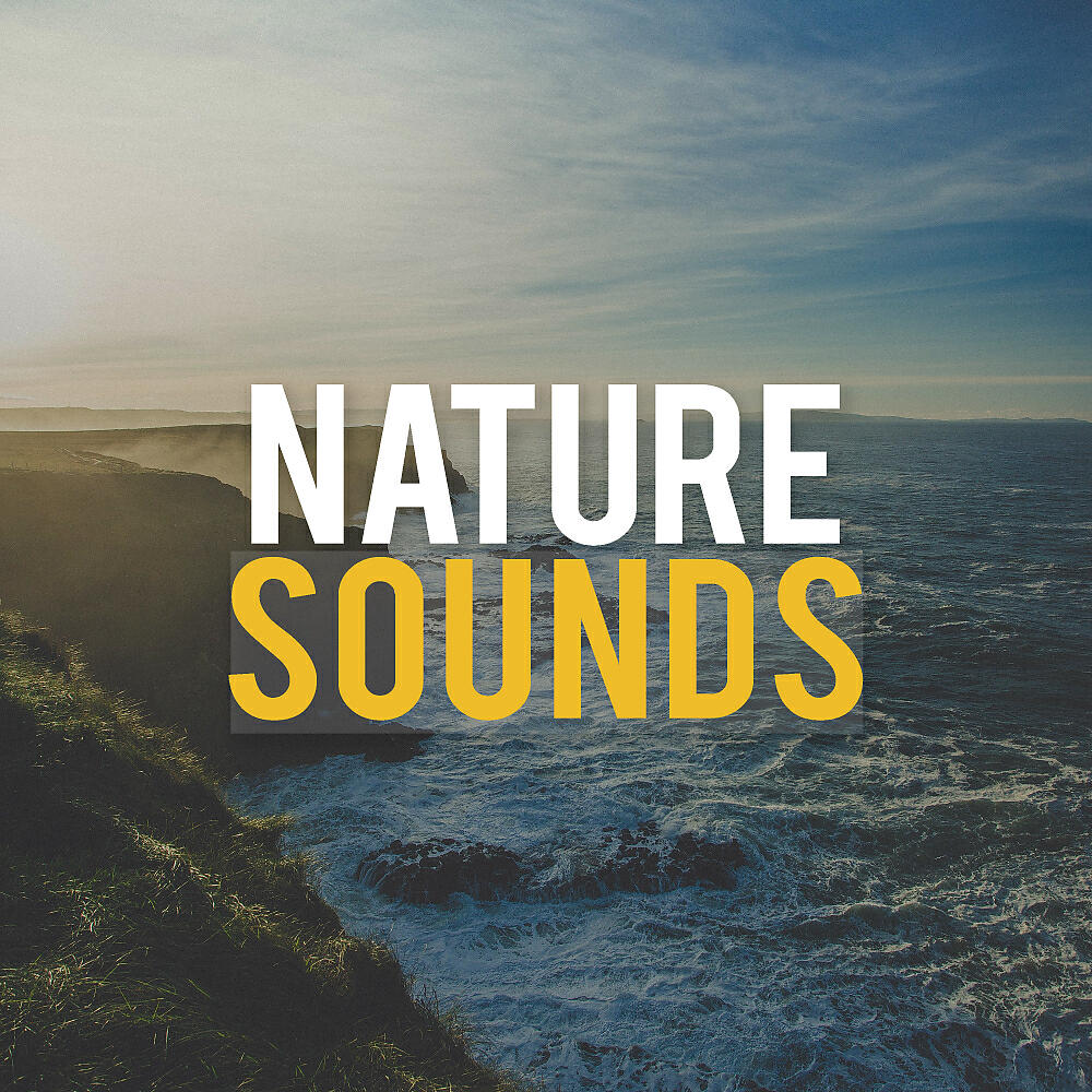 Nature Sounds - Reso White Noise