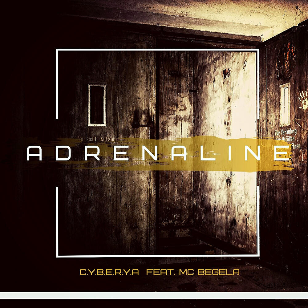 C.Y.B.E.R.Y.A - Adrenaline (Original Mix)