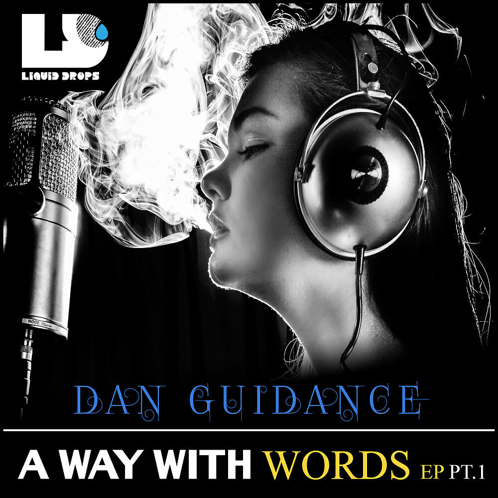 Dan Guidance - Never Going Down (Original Mix)