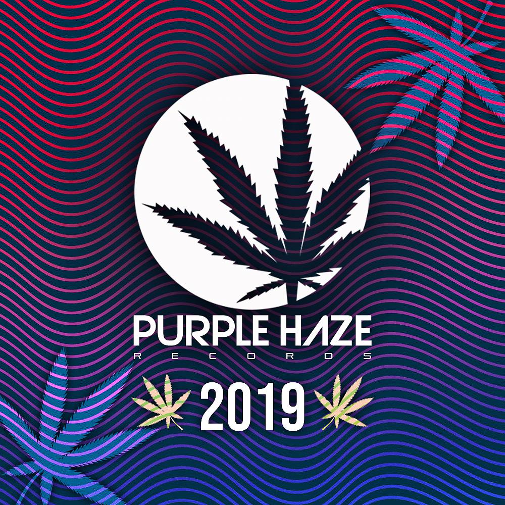 Постер альбома Purple Haze 2019