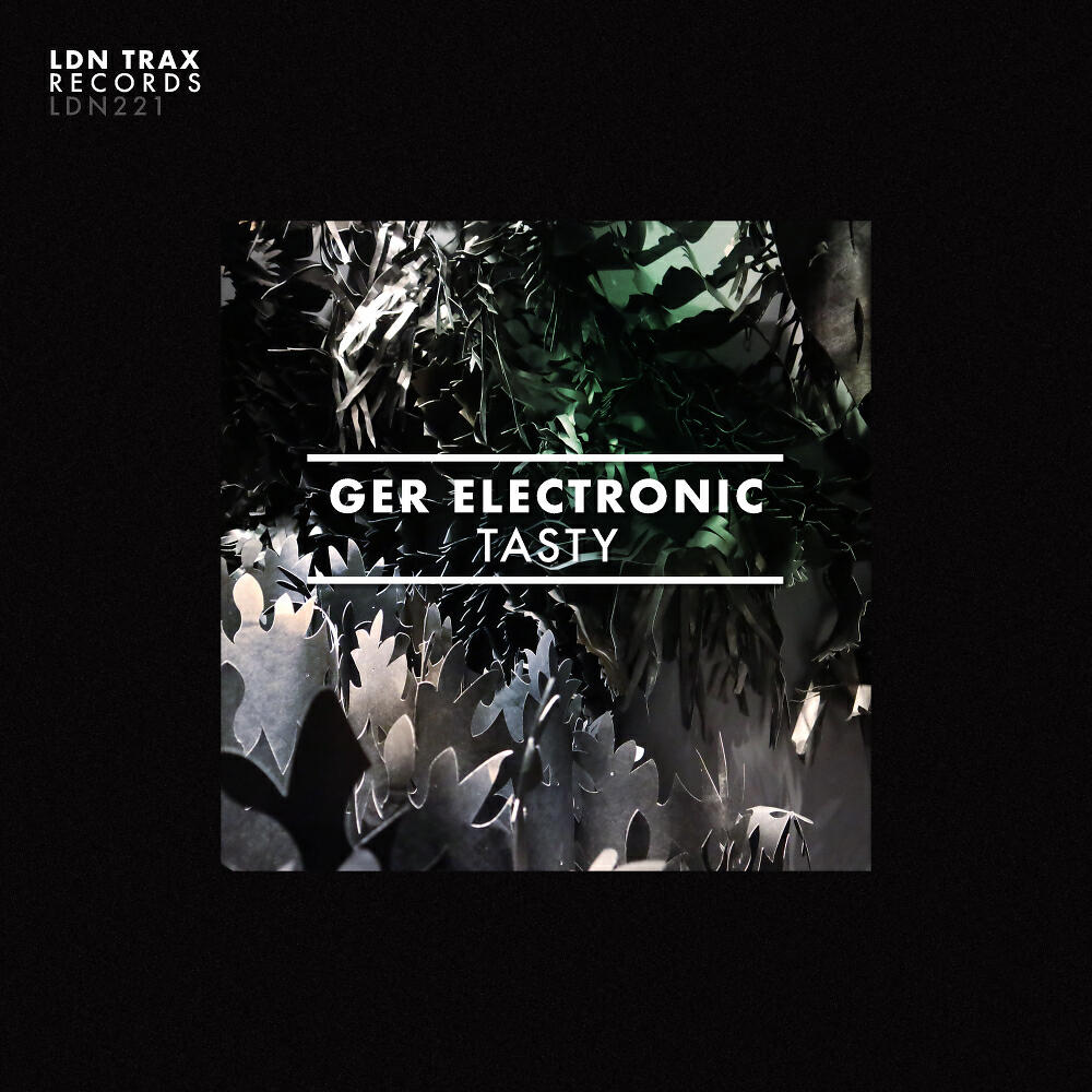 Ger Electronic - Waterflow (Original Mix)
