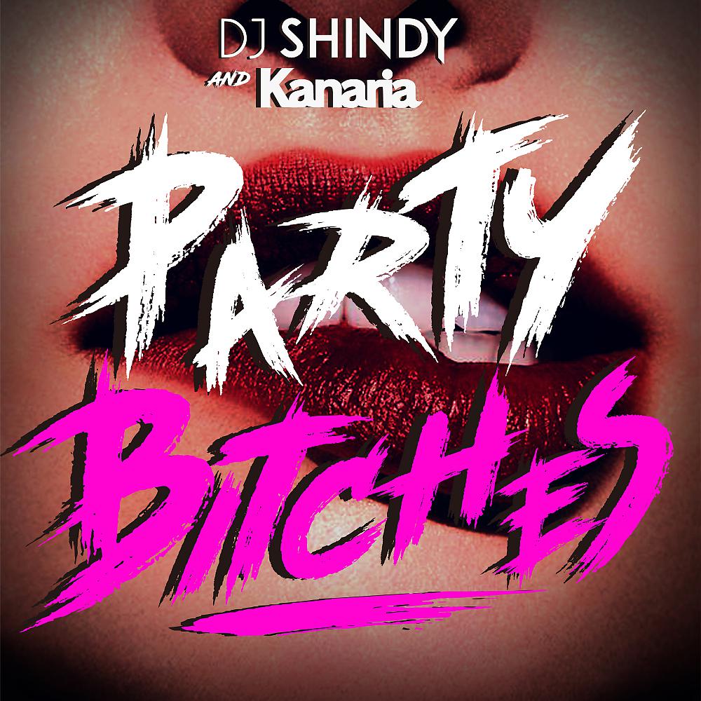 Постер альбома Party Bitches