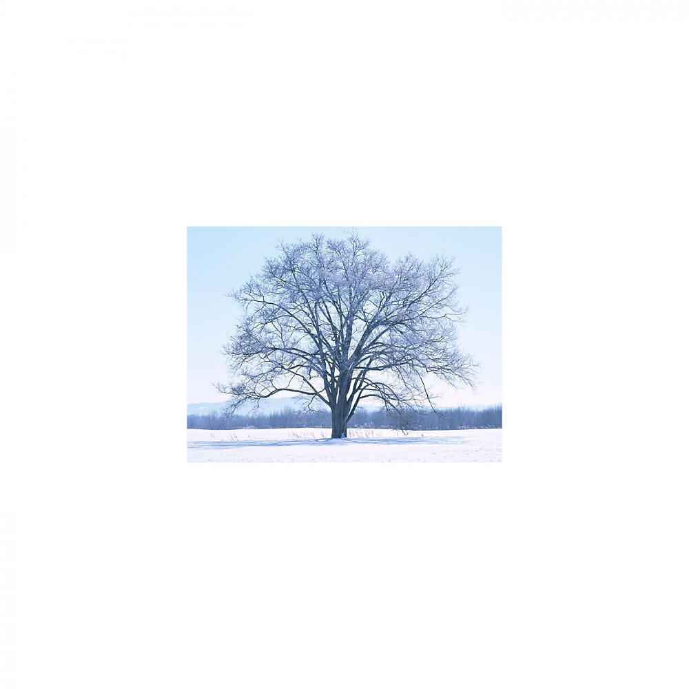 Mindfulness Healing BGM Project - Triangle & Bgm (Original Mix)