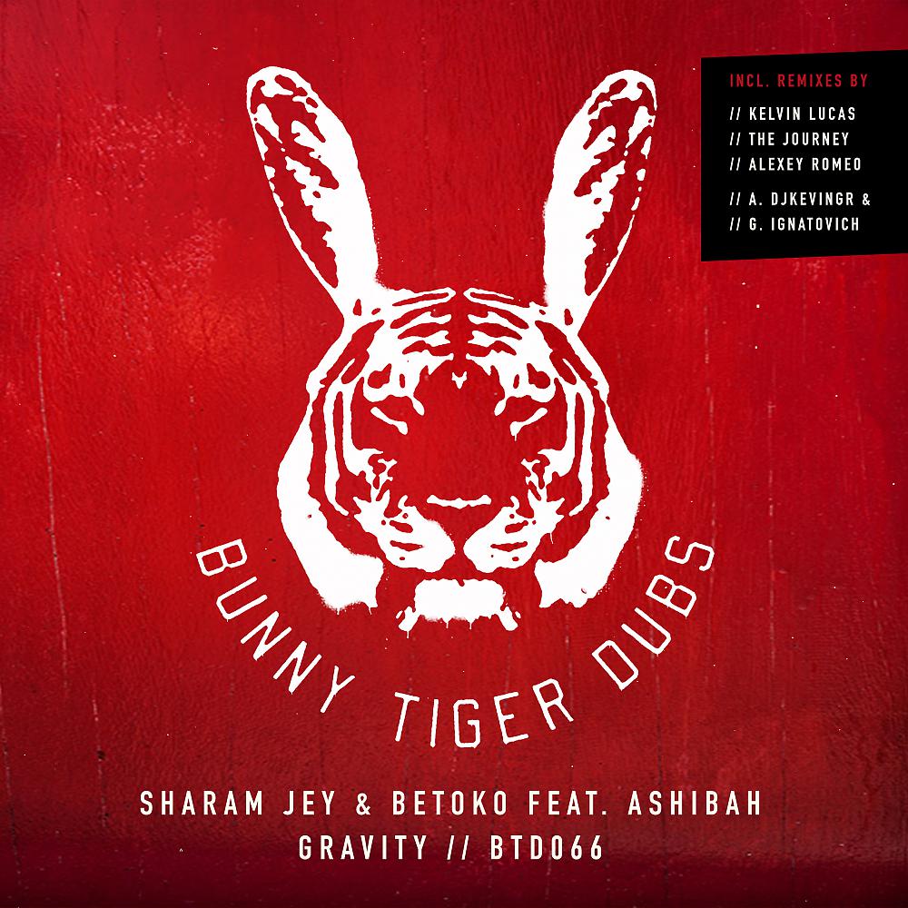 Sharam Jey - Gravity (Alexandros Djkevingr, Greg Ignatovich Remix)